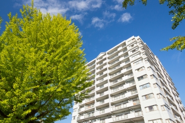 不動産査定？東京都府中市の土地や家が「簡単1分で！？」高値で不動産売却！